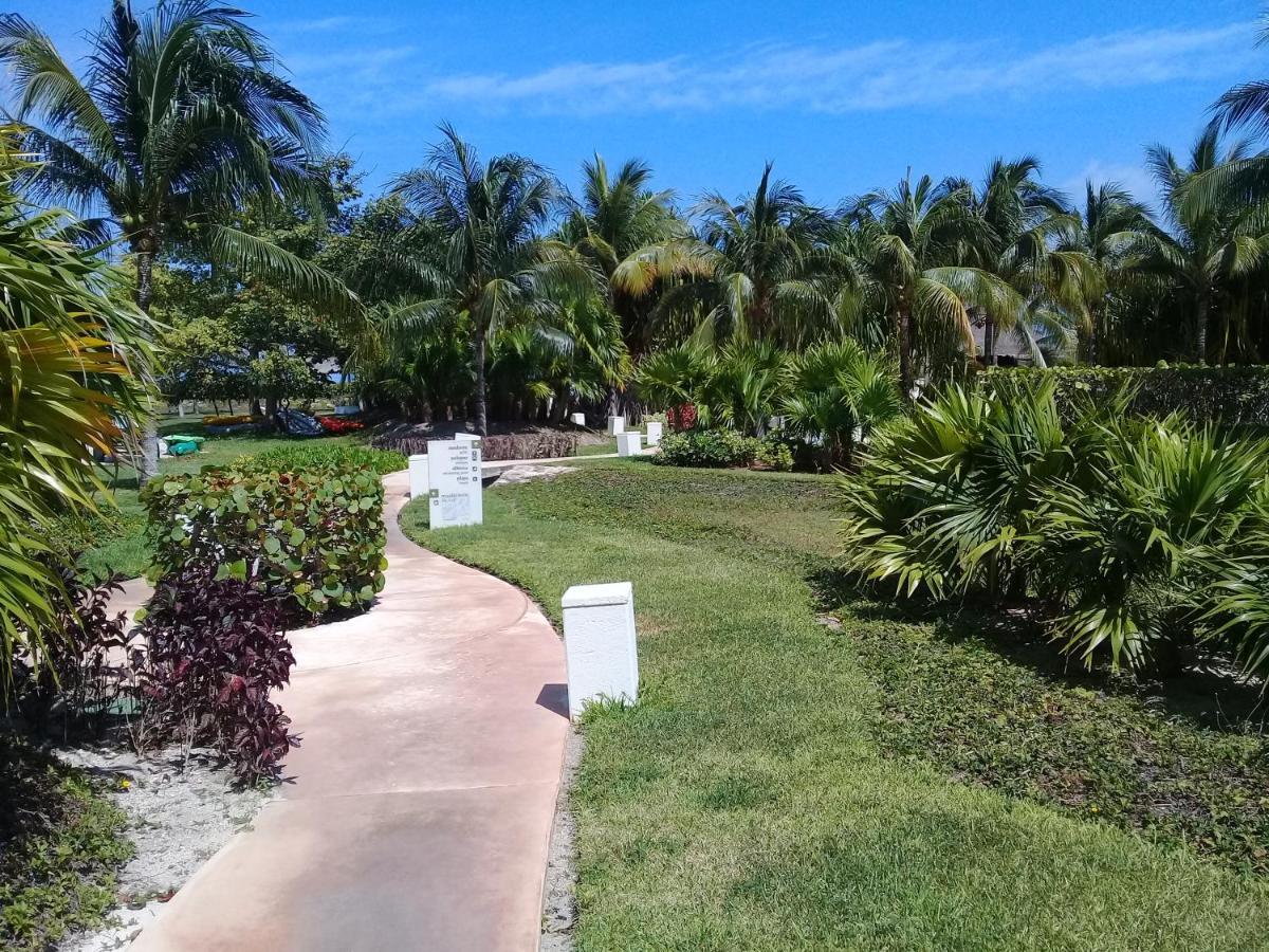 Апартаменты Swim The Caribbean & Work With A View Канкун Экстерьер фото