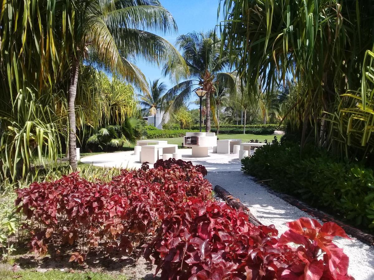 Апартаменты Swim The Caribbean & Work With A View Канкун Экстерьер фото